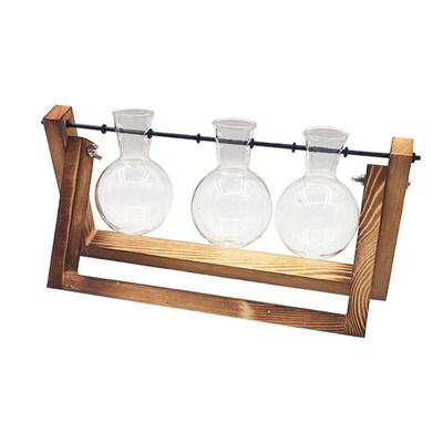Bonsai Decor flower vase Plant Transparent Vase Wooden Frame