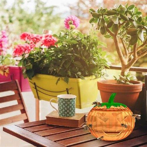 Carpenter Bee Trap Carpenter Bee Decoys Pumpkin Shape Trap