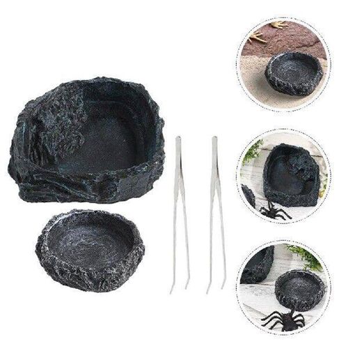 Bearded Dragon Food Bowl Leopard Gecko Water Dish Reptile