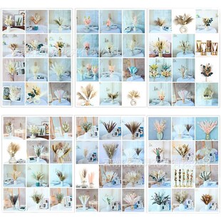 Small Reed Dried Flowers Living Room Party Decoration Photo