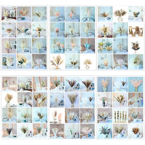 Small Reed Dried Flowers Living Room Party Decoration Photo