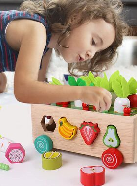 Baby Pull Carrot Set Wooden Sorter Toy Shape Matching