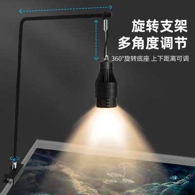 鱼缸灯led射灯南美造景灯水族专用水草灯三湖原生缸调焦变色吊灯