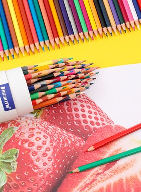 48PCS Color Pencil and Sketch Pencils Set for Drawing Art T