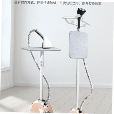 electric compact iron steam soleplate clothes steamer 熨斗