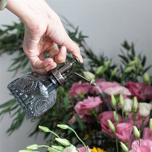 Plant Flower Watering Pot Spray Bottle Antique Glass Waterin