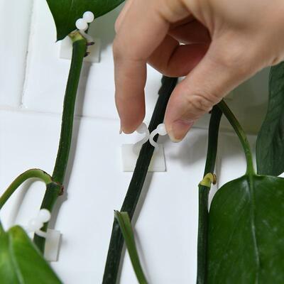 Green vine climbing tool, wall-mounted green plant fixator,