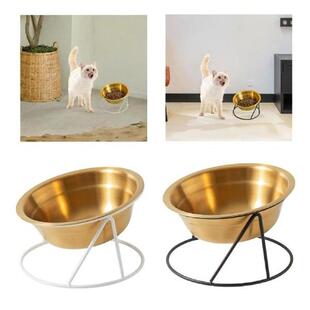 Raised Cat Bowl Pet Bowl for Cat Dogs with Bracket Dog