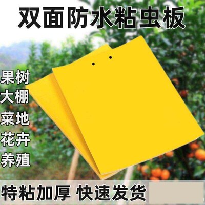 Strong Adhesive Yellow Board for Pest Control, Effective Aga