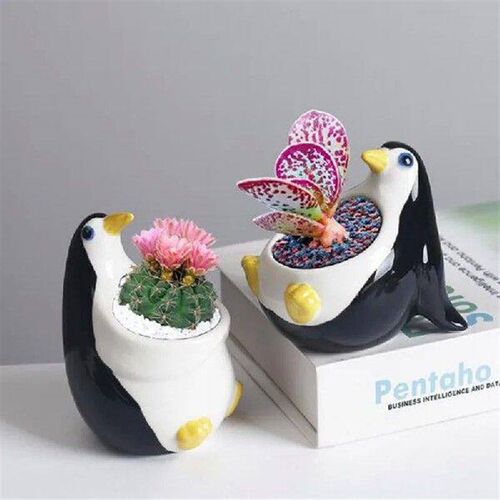 Cartoon Porcelain Flowerpot Penguin Animal Succulent Plant