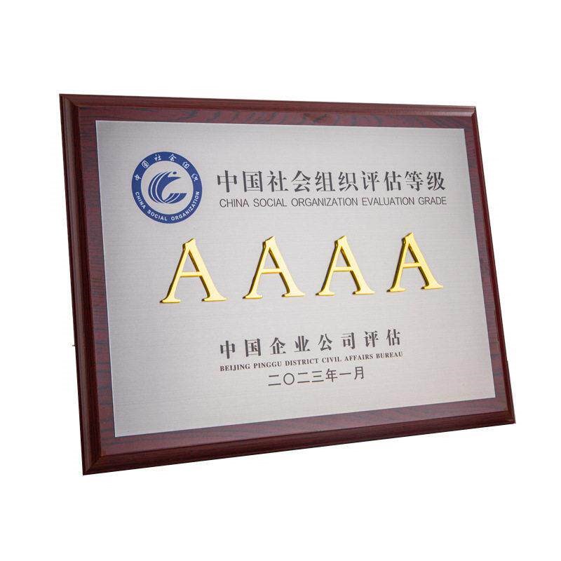 Customized Government Award 3A Corporate Honor Plate - 实物图