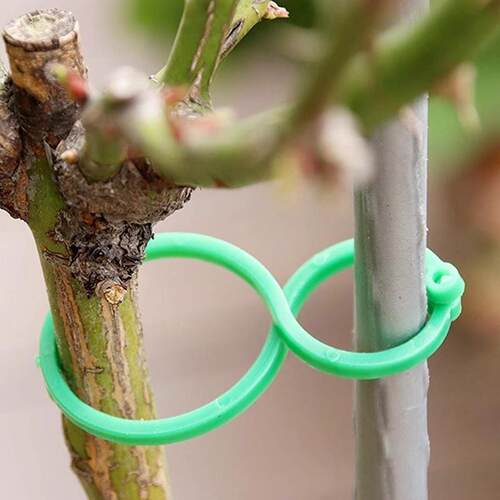 Vine Climbing Plant Stem Support Garden Tool, 8-Character Bu