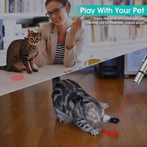 Pet Toy USB Rechargeable 3 In 1 Funny  Chaser Stick Mini