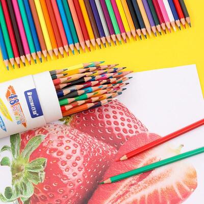 Erasable 48 color pencil brush for primary school students