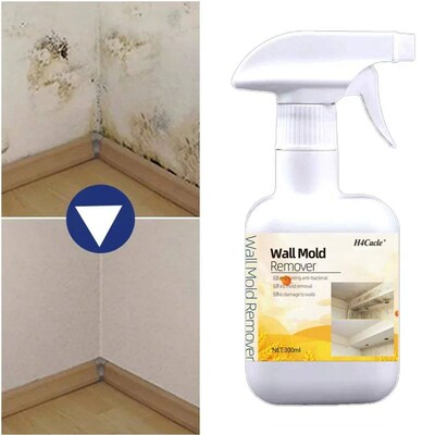 Mold Remover Spray Prevent Fungus Furniture Tile Wall Stains