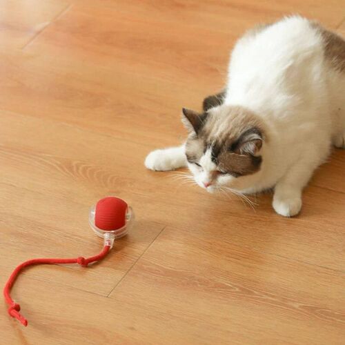 Cat Interactive Ball Toy Automatic Rolling Ball with Tail Re
