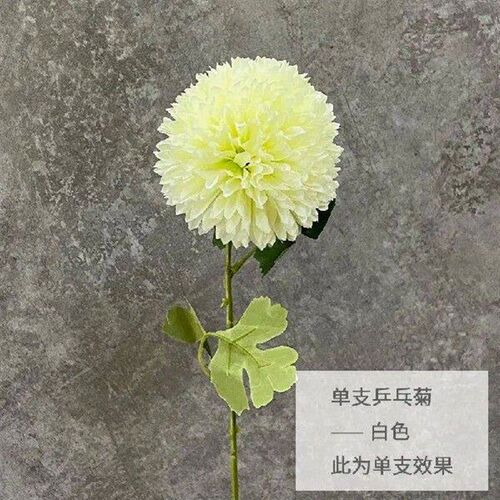 10pc White Pink Big Ball Chrysanthemum Ping Pong