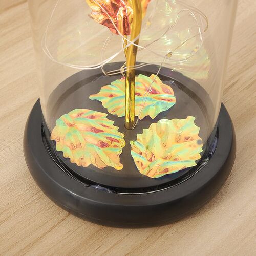 Glass Lampshade Immortalized Roses Chinese Valentines Day G