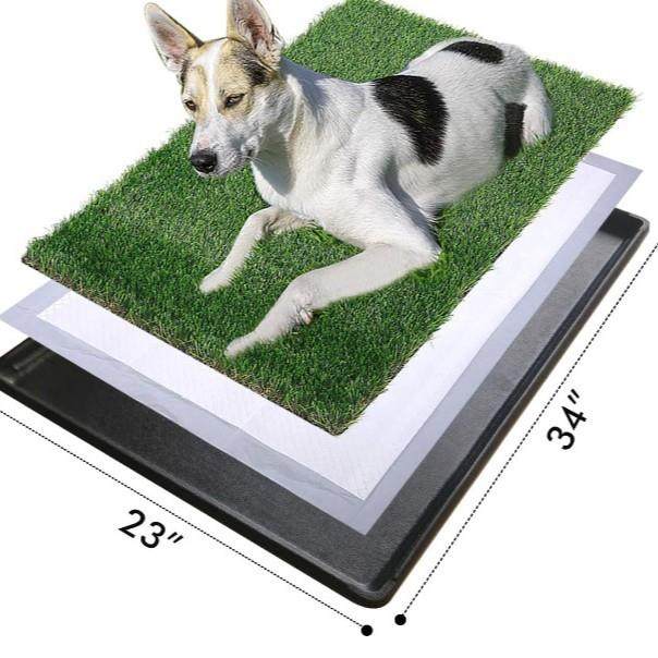 尿垫去味吸水狗狗隔尿垫加厚狗尿片宠物训练厕所用品宠物尿垫尿片,宠物/宠物食品及用品,尿片/尿垫/护垫,淘宝优惠券,粉丝福利购,淘宝优惠卷