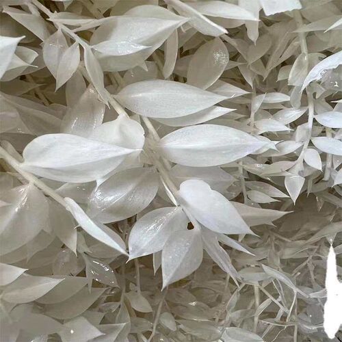 Bleached Fugui Leaf Eternal Flower Dried Flower  Material We
