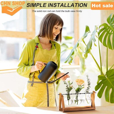 Plant Terrarium with Wooden Stand Vintage desktop decoration