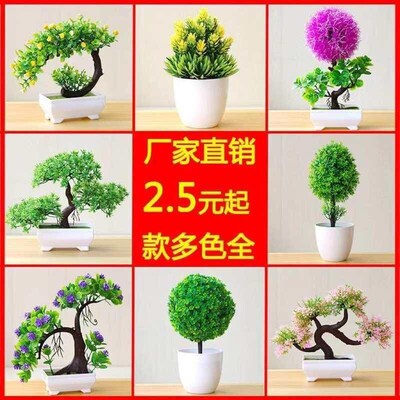 Desktop simulation plant mini grass ball bonsai living room