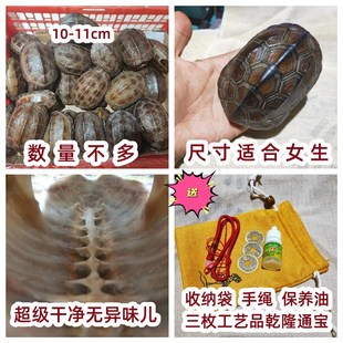 乌龟壳真甲壳天然完整文玩龟甲摇卦起卦富甲把件金线龟壳适合女生