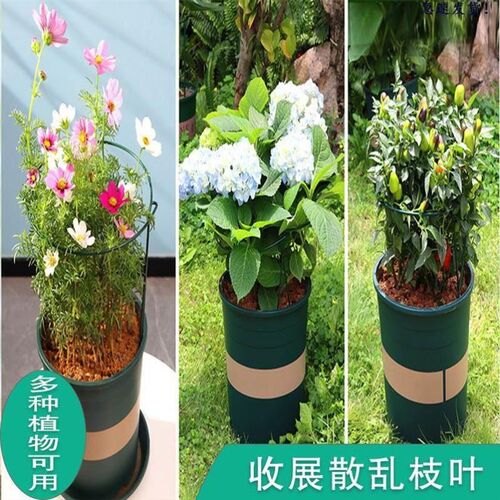 Flower Support Frame Flower Climbing Seasonal Plant Holder P