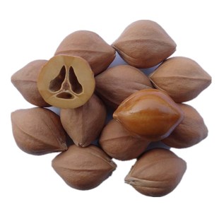 橄榄核原籽饱满短圆核近正圆光珠佛串念珠面罗汉梅林铁核红油核