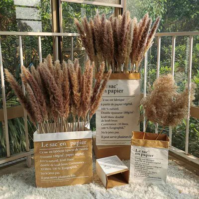 Preserved Flower Small Reed Ins Nordic Romantic Style Reed D