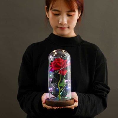 Beauty and the Beast Flannel Rose Lamp Glass Cover Eternal F