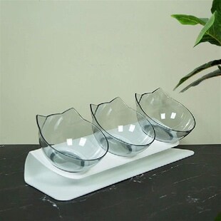 Cat Raised Bowl for Tilted Water Feeder Dog Drinking