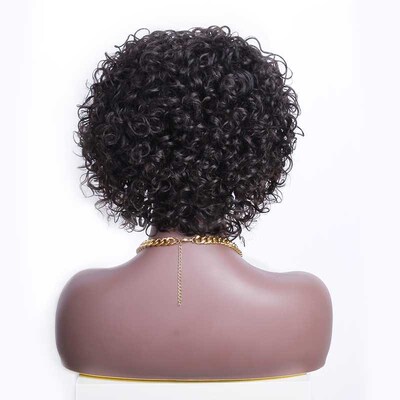 Pixie Cut Short Curl Wig Transparent Lace Wig Elf Wig Hair v