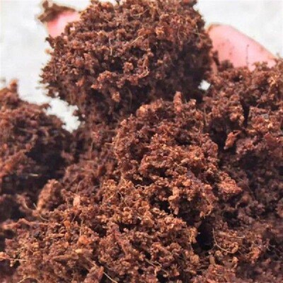 Tortoise Life Substrate Coir Discs Earth Substrate Brick