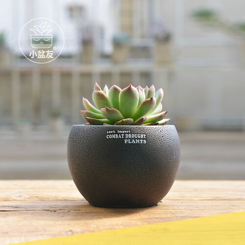 Table flowerpot European Garden black drum type air permeabi