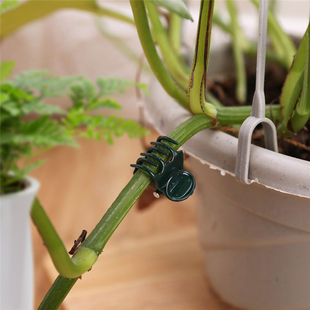 Support Clips for Plastic Vine Clip Plant Stem 100PCS Orchid