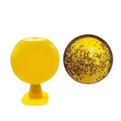 Fruit Fly Traps Small Insect Killer for Indoor Use, Mosquito