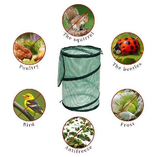 Small Greenhouse For Outdoors Protective Tabletop