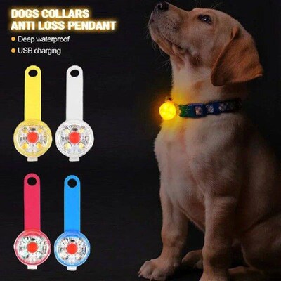 LED Dogs Collars Anti Loss Pendant Night Safety Waterproof