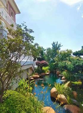 然黄蜡石原石鱼池假点山造天景石黄色石头240419驳林岸石草坪缀园