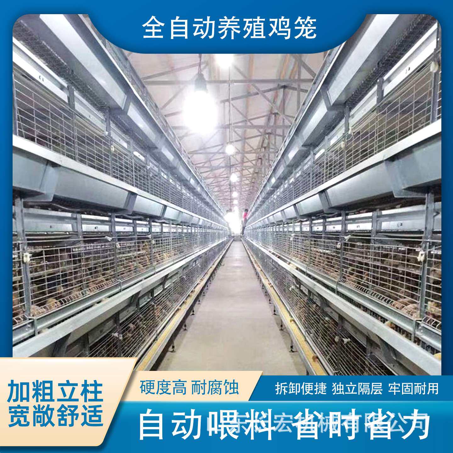 全自动蛋鸡笼四层清粪鸽子笼层叠式H型立式养鸡设备鹌鹑养殖笼具