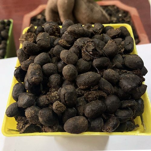 60斤发酵纯羊粪有机肥果园羊粪瓜果蔬菜通用肥羊粪颗粒花肥