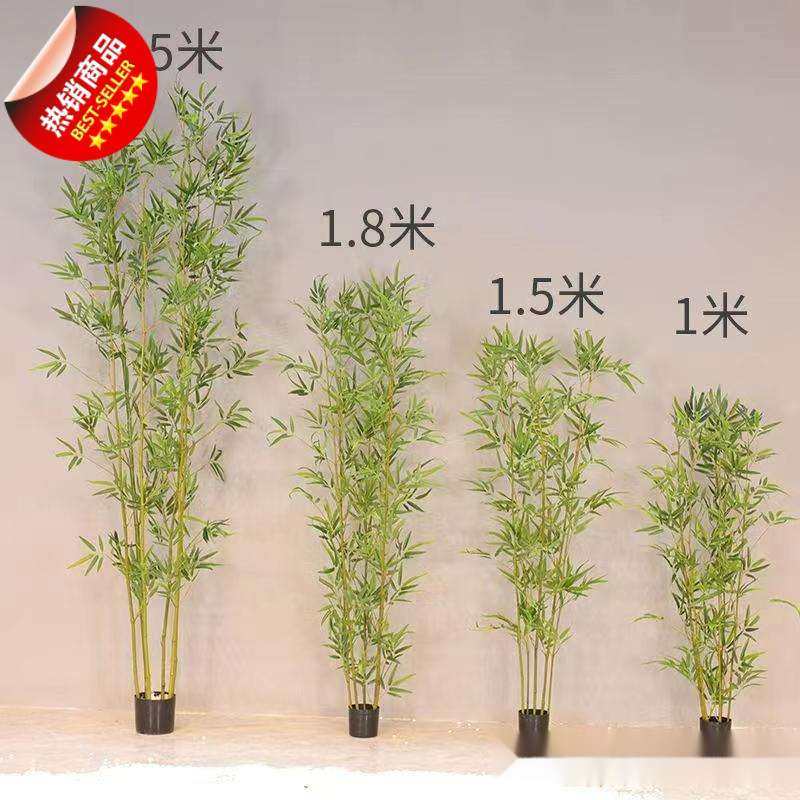竹子室内外装饰屏风造景订婚周岁布置装饰竹盆栽加密绿植,3C数码配件,其它配件,淘宝优惠券,粉丝福利购,淘宝优惠卷
