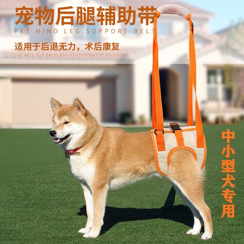 宠物后腿辅助带高龄老年犬残疾犬狗狗术后康复锻炼上楼伸缩协助带 - 封面