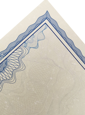 雪花棉纸浅灰色欧式内芯可定做资质奖状聘书印刷10张A4A3空白