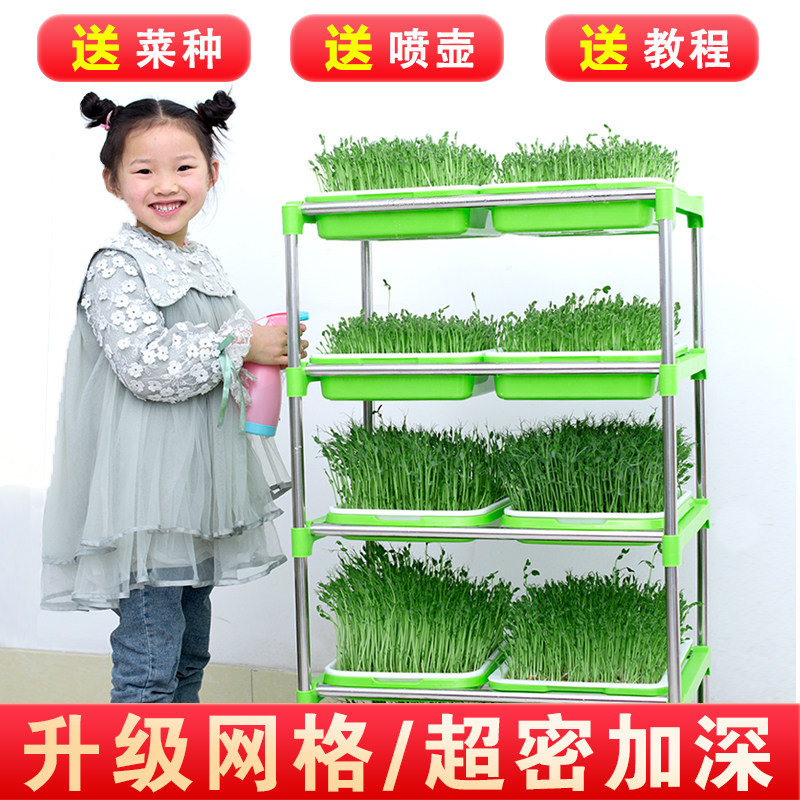 豆芽发芽盆豌豆苗水培蔬菜设备种植架家用无土栽培托芽苗菜育苗盘