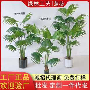 仿真蒲葵树唐棕葵 人造扇葵树盆栽 室内假绿植扇形树道具装扮绿植