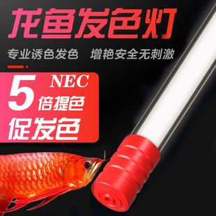 nec鱼缸金龙红龙鱼专用发色三基色日光照明灯管T8防水潜水灯