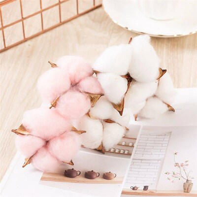 10Pcs 6cm White Pink Natural Dried Cotton Heads For Wedding