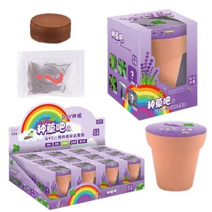 Kids Flower Growing Kit Kindergarten  Observation Potted
